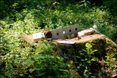 sb_161