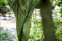 mg_4775