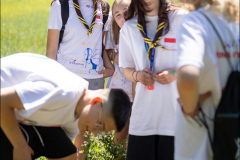 hrr2024_sb_065