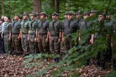 hrr_pt_242