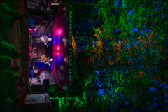 hrr_pt_256